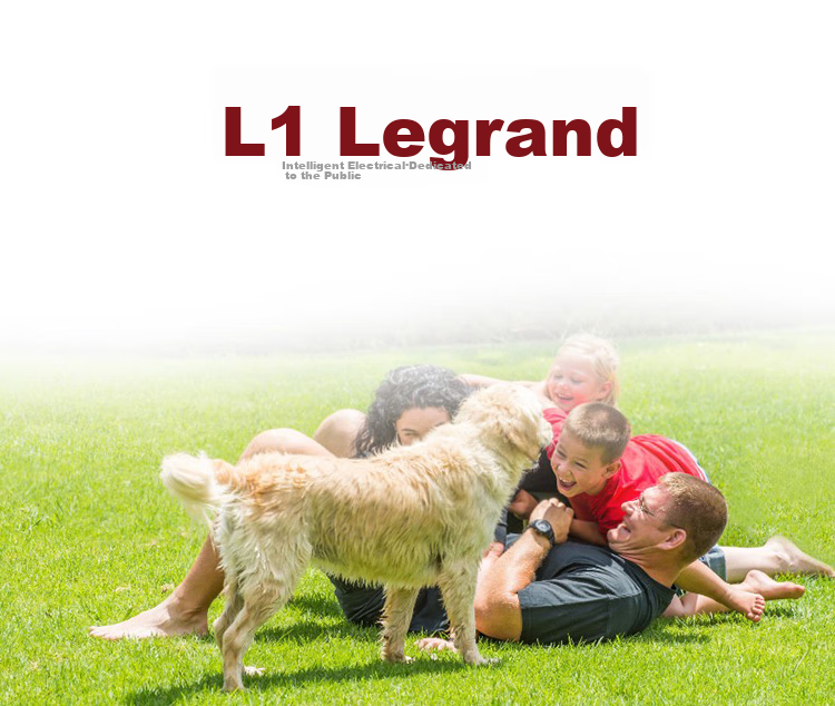 LEGRAND Накладная панель для розеток и выключателей Shidian Milan Gold, без рамки, тип 86, двойной выключатель, одинарное управление