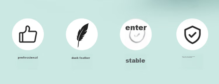 Воланы для бадминтона RSL Competition Duck Feather C5, набор из 12 штук, скорость 77, перьевые, для тренировок