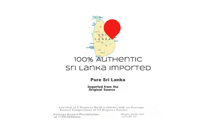 Подушка из натурального латекса