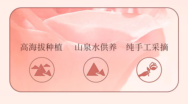 植荟露玫瑰精油面部精华液抗皱紧致精华淡化细纹脸部护肤甘油30ml