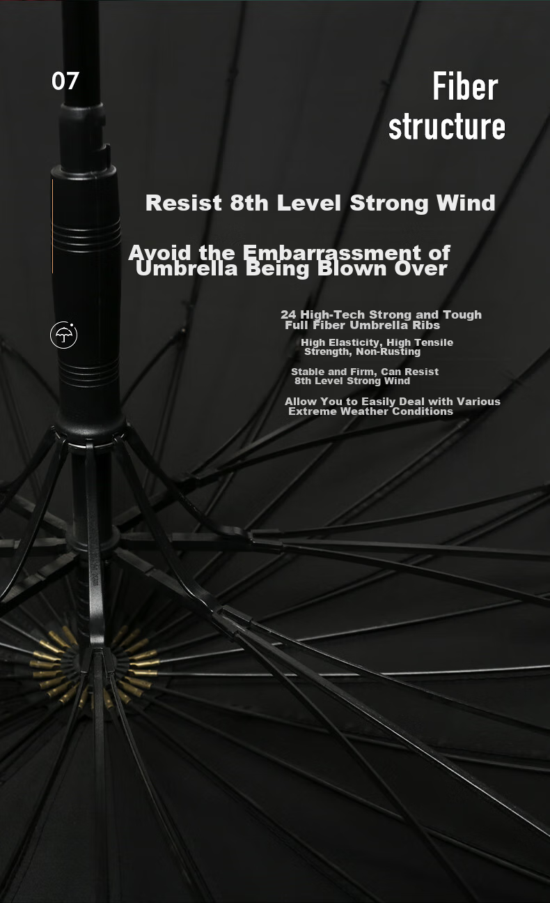 VONLILIENFELD Feilaidelong-Handle Umbrella, 24-Rib Straight Pole Umbrella, Heavy Rain And Wind-Resistant, Automatic Retro Double-Person Umbrella, Extra-Sturdy Large Umbrella