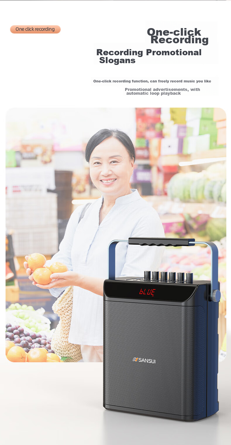 Портативная колонка SANSUI E76, 25 Вт, Bluetooth 5.0, с двумя беспроводными микрофонами, для караоке, вечеринок и выступлений