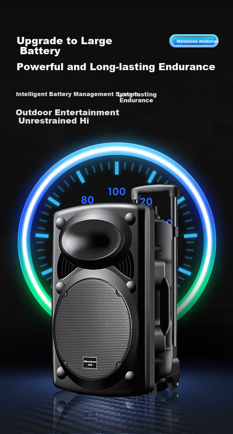 Портативная колонка Newmine B12, 12 дюймов, Bluetooth 5.0, с двумя микрофонами и пультом ДУ