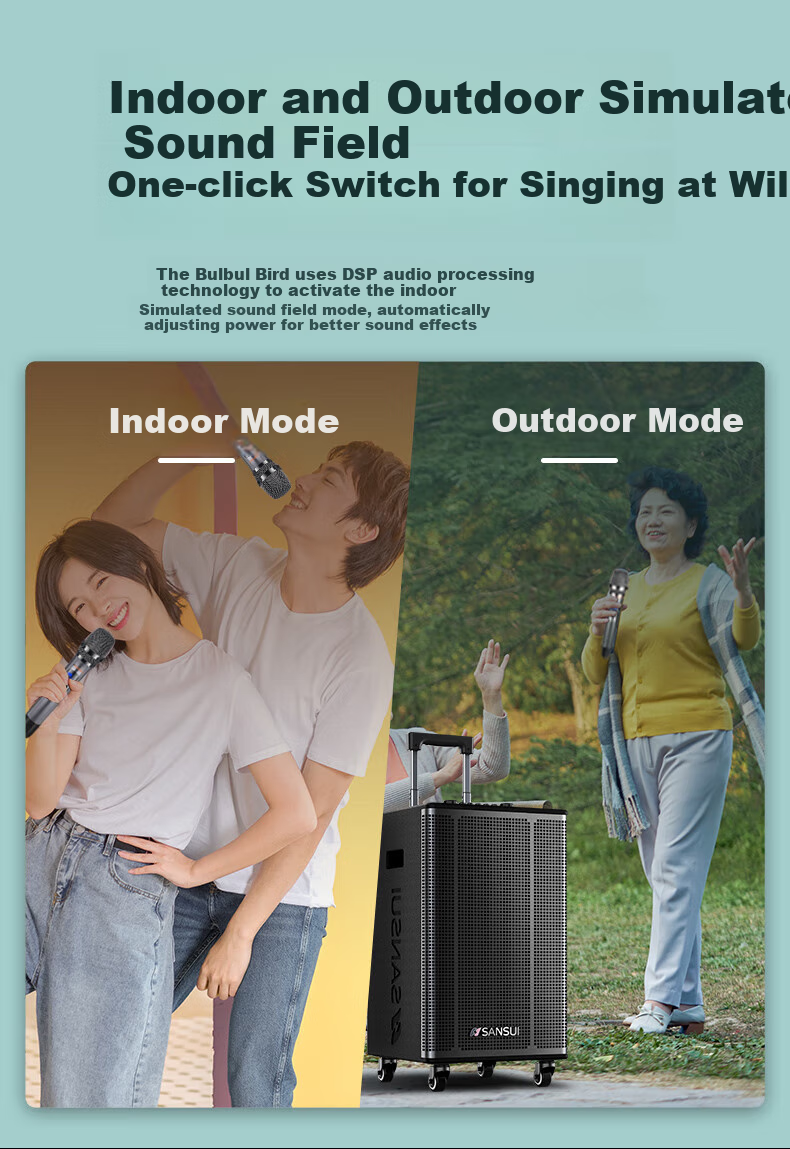 Портативная акустика SANSUI E08, караоке, Bluetooth, 150 Вт, с двумя микрофонами, черный