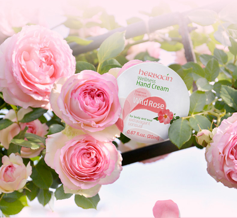 贺本清（Herbacin）德国小甘菊护手霜玫瑰礼盒（玫瑰75ml+玫瑰20ml+唇膏4.8g）礼物 送礼甄选 礼盒装