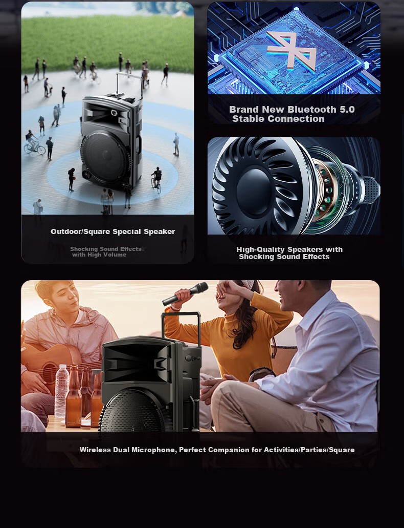 Портативная колонка Newmine N521, 12 дюймов, с двумя микрофонами и адаптером, высокая мощность, Bluetooth, караоке, уличная