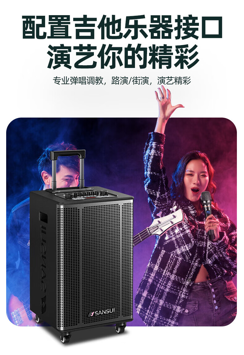 Портативная акустика SANSUI E08, караоке, Bluetooth, 150 Вт, с двумя микрофонами, черный