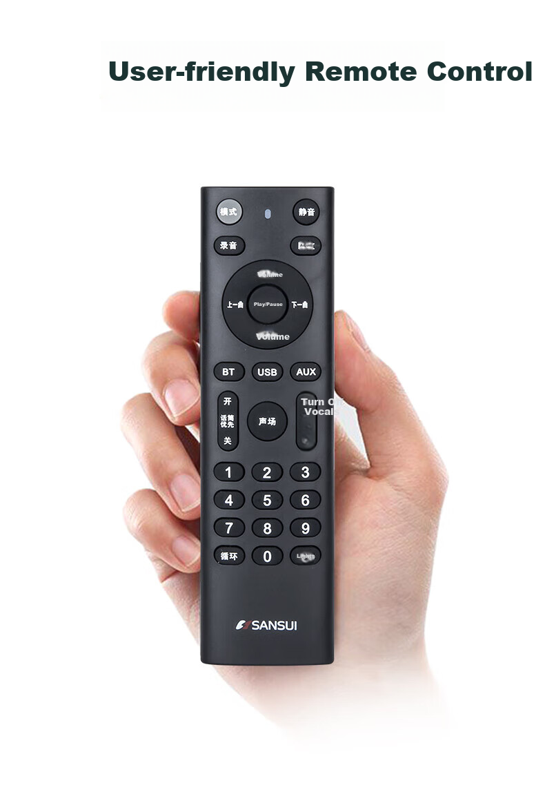 Портативная акустика SANSUI E08, караоке, Bluetooth, 150 Вт, с двумя микрофонами, черный