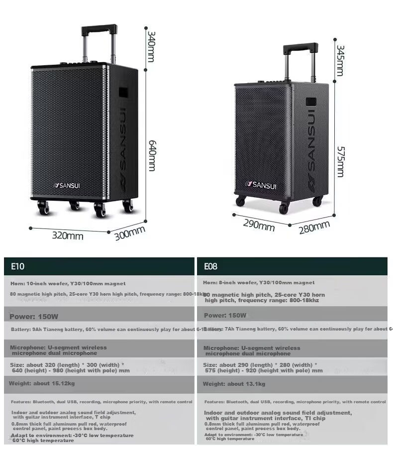 Портативная акустика SANSUI E08, караоке, Bluetooth, 150 Вт, с двумя микрофонами, черный