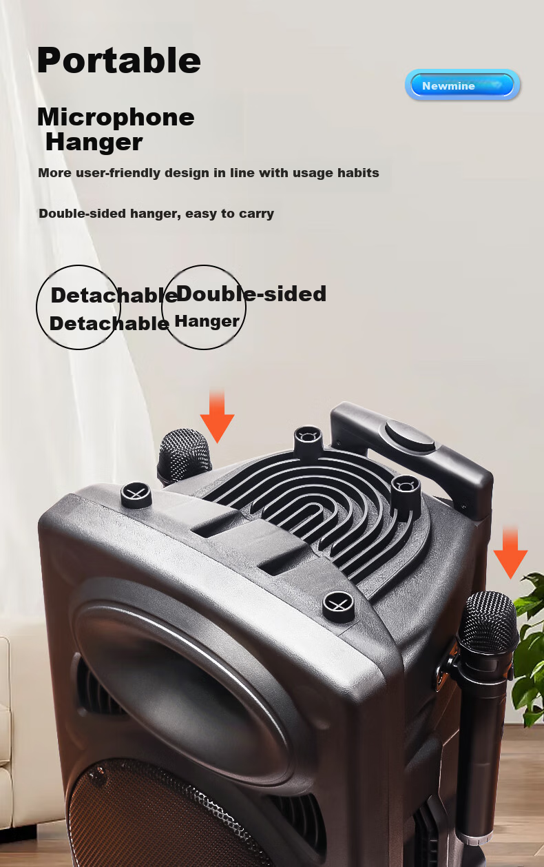 Портативная колонка Newmine B12, 12 дюймов, Bluetooth 5.0, с двумя микрофонами и пультом ДУ