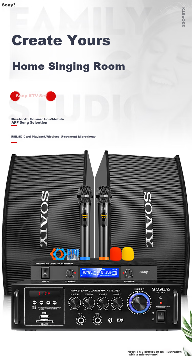 Акустическая система Soaiy CK-M6, домашний кинотеатр KTV, комплект усилитель + 2 колонки + 2 микрофона