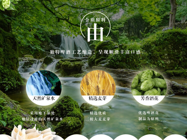 金质原料由独特啤酒工艺酿造,呈现顺滑丰富口感天然矿泉水精选麦芽芳香酒花采用地下深处精选优质优选啤酒花地层过滤的天然矿泉水二棱大麦麦芽制品为原料-推好价 | 品质生活 精选好价