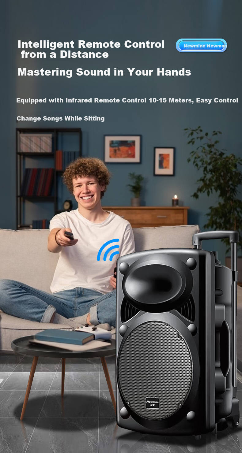 Портативная колонка Newmine B12, 12 дюймов, Bluetooth 5.0, с двумя микрофонами и пультом ДУ