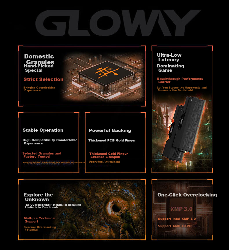 Оперативная память Gloway DDR5 32GB (2x16GB) 6000MHz CL36 Longwu-Yue