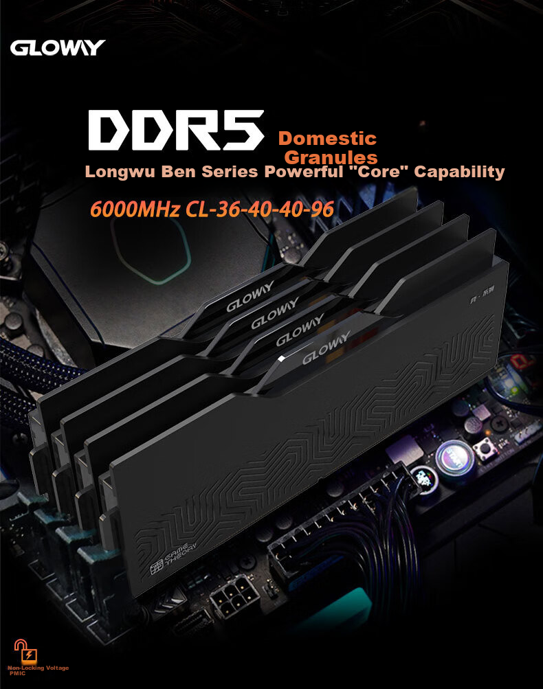 Оперативная память Gloway DDR5 32GB (2x16GB) 6000MHz CL36 Longwu-Yue