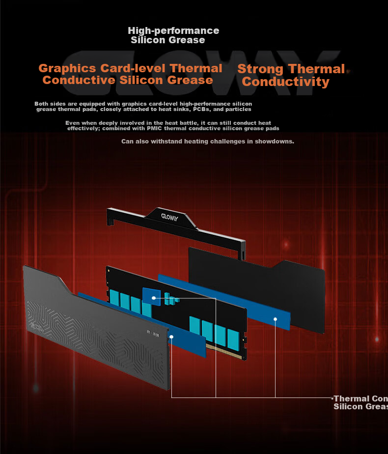 Оперативная память Gloway DDR5 32GB (2x16GB) 6000MHz CL36 Longwu-Yue
