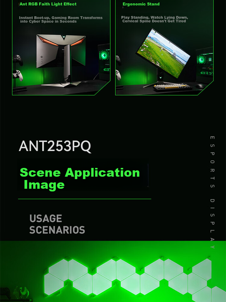Игровой монитор ANTGAMER ANT253PQ, 24.5 дюйма, 2K (2560x1440), 300 Гц, 1 мс, IPS, HDR400, G-Sync/FreeSync