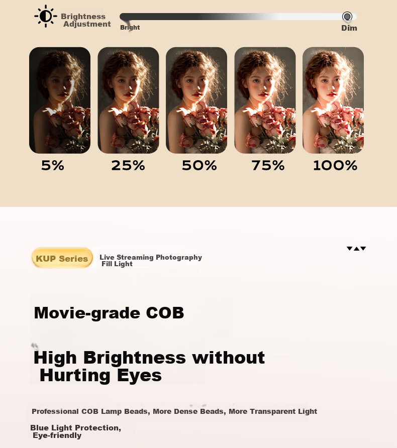 Beiyang BY-300BI - светодиодный осветитель для фото- и видеосъемки, 300 Вт, COB, с софтбоксом 60x90 см и стойкой 2.8 м