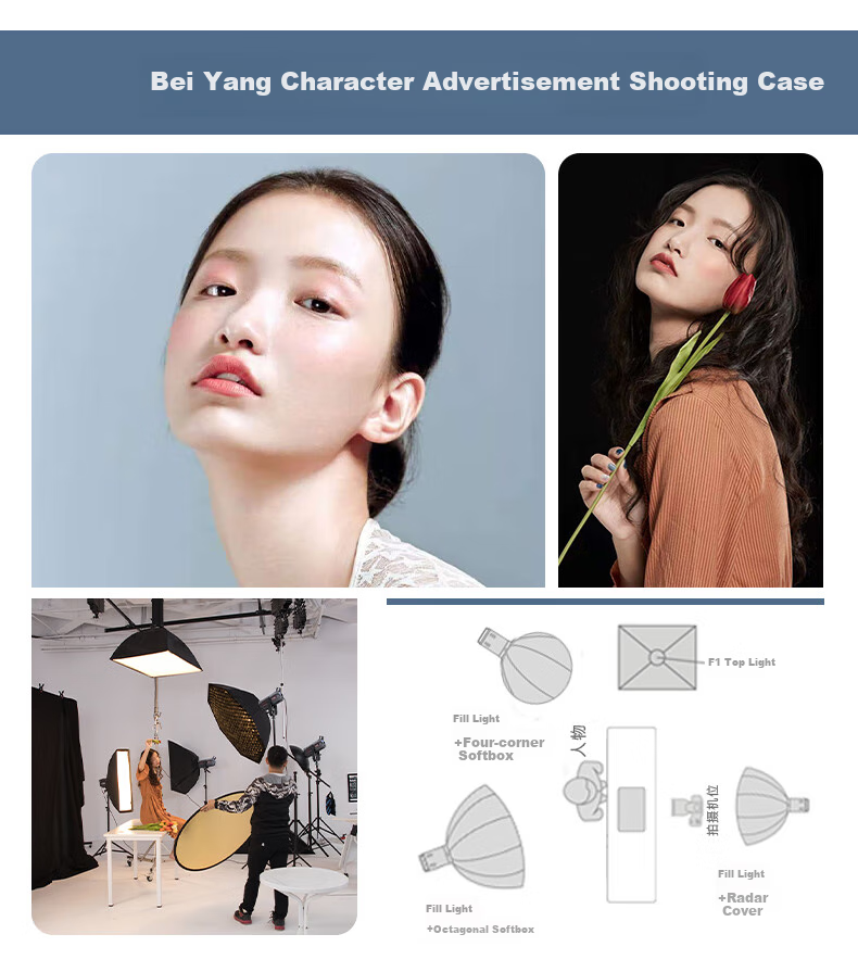 Beiyang BY-300BI - светодиодный осветитель для фото- и видеосъемки, 300 Вт, COB, с софтбоксом 60x90 см и стойкой 2.8 м