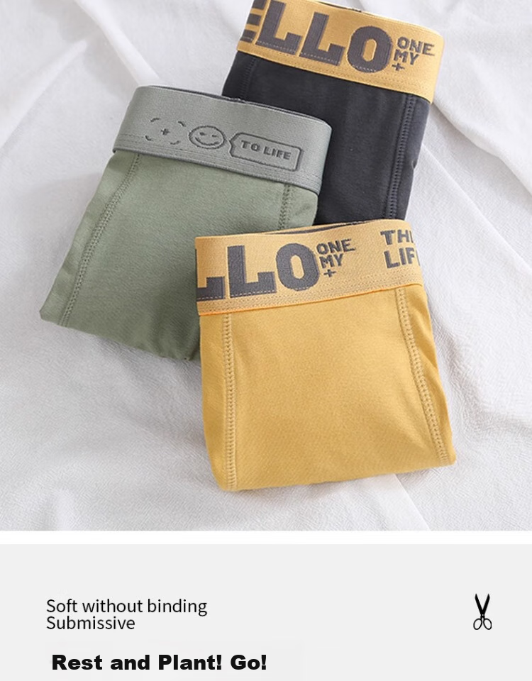 Мужские трусы JEANSWEST, боксеры из чистого хлопка, большого размера, 4 шт.