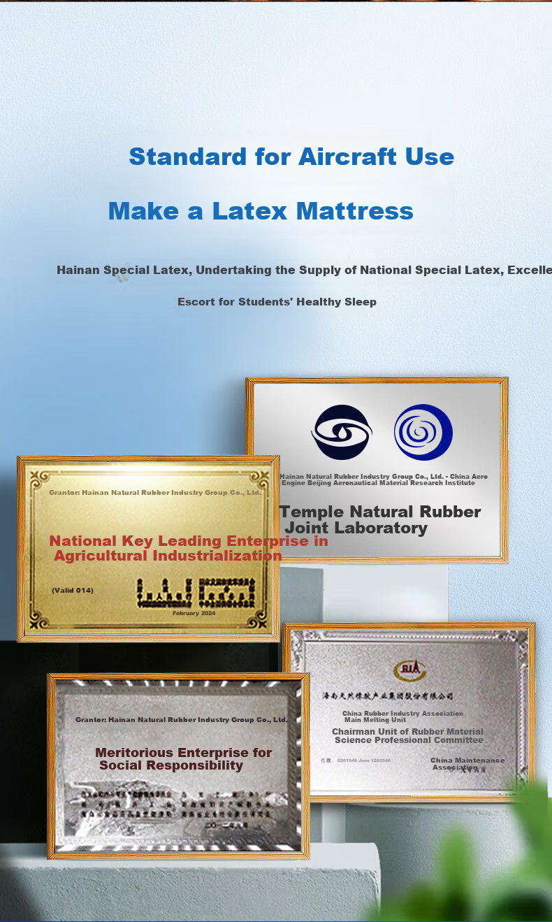 Наматрасник Baopo Student Latex Mattress, односпальный, мягкий, антибактериальный, для общежития, 100x200 см