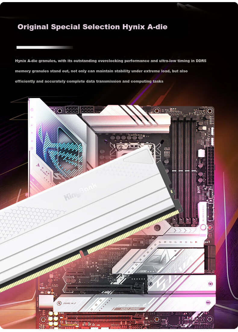 Оперативная память KINGBANK DDR5 32GB (2x16GB) 6000MHz CL28