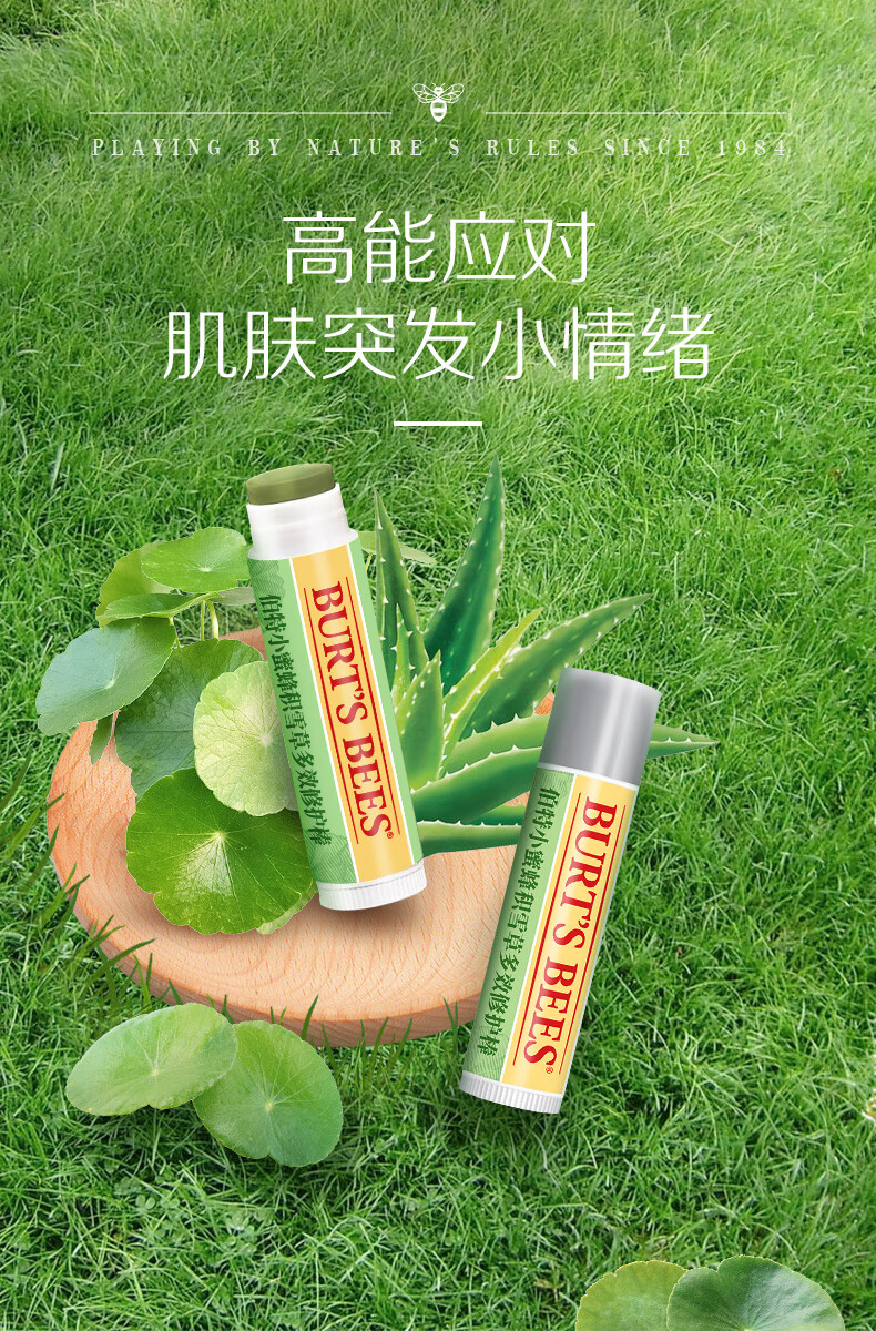 伯特小蜜蜂积雪草棒4.25g多效舒缓修护滋润肌肤清凉轻巧便携装天然成分