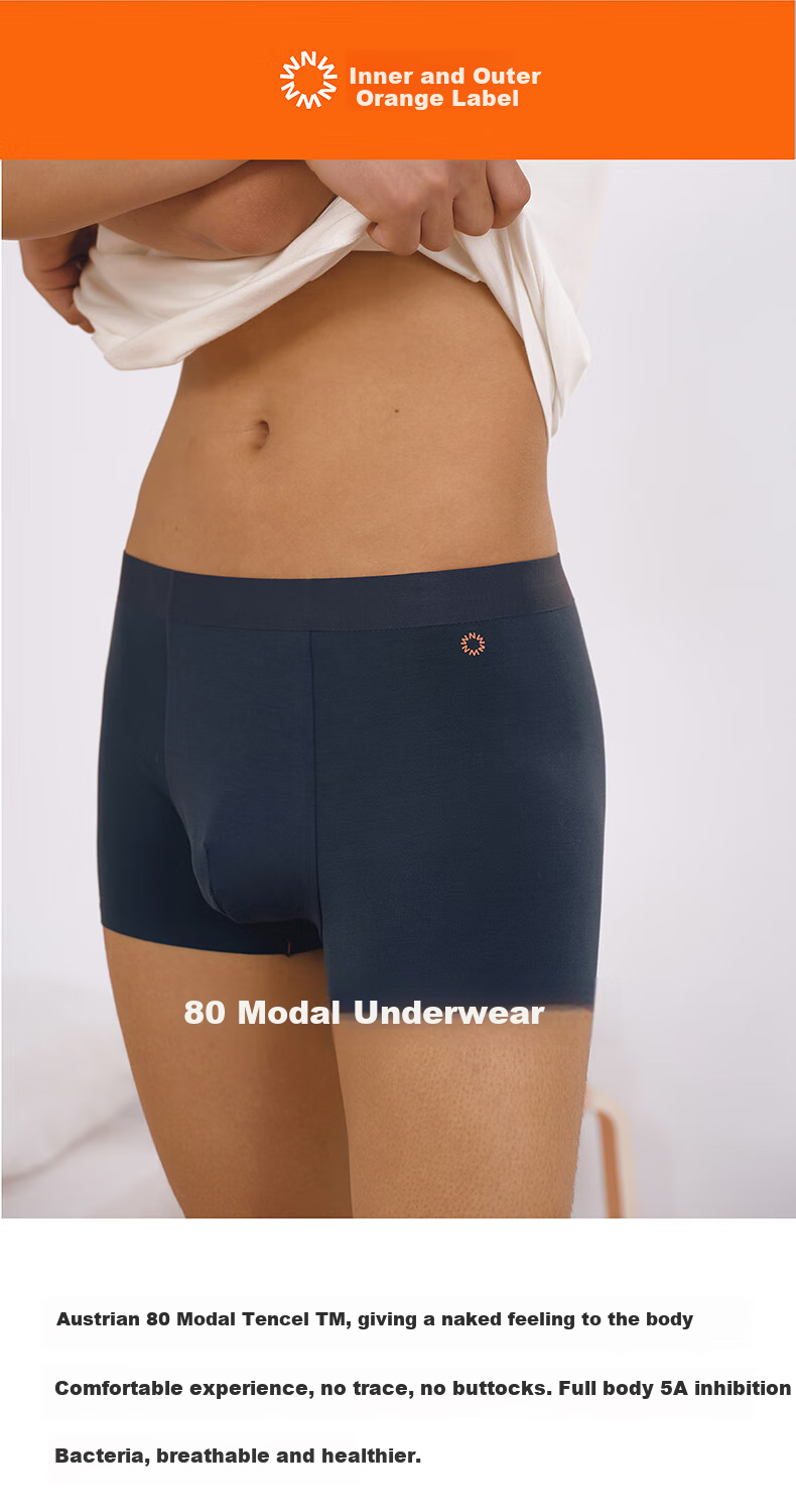 Мужские боксеры NEIWAI Orange Label, 3 шт., модал, бесшовные, дышащие, антибактериальные, размер M, цвет Obsidian Purple/Medium Gray/Brown Beige