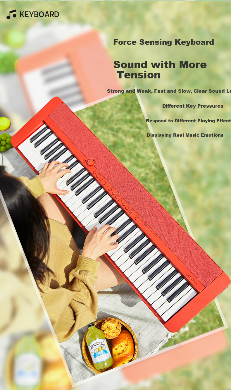 Электронное пианино CASIO
