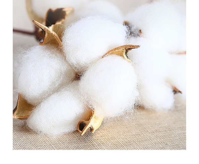 Наматрасник Mercury Home Textile 100% хлопок, 60 нитей, стираный длинноволокнистый хлопок класса А, 180x200 см, розовый