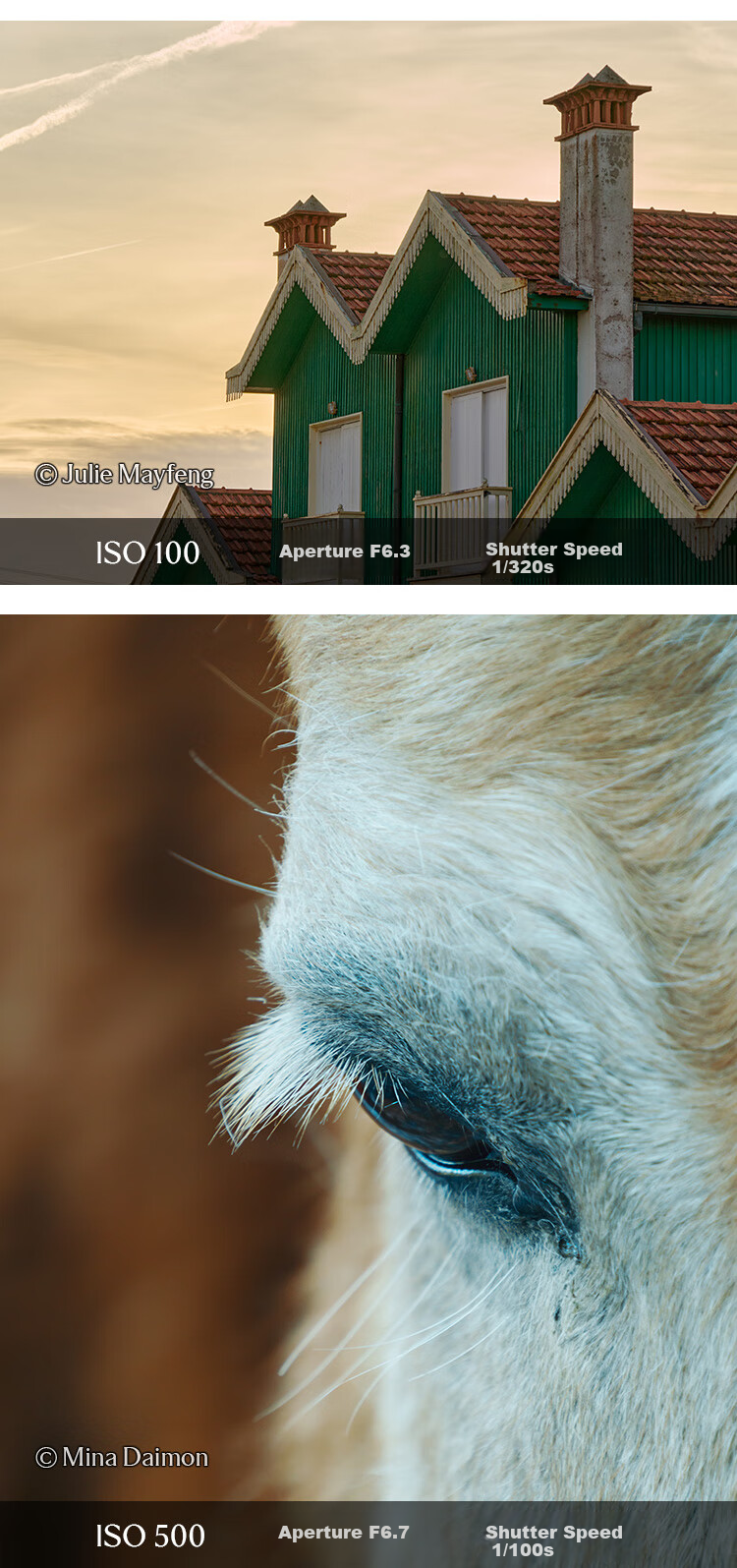 Телеобъектив SIGMA 16-300mm F3.5-6.7 DC OS Contemporary для Sony E-mount, APS-C