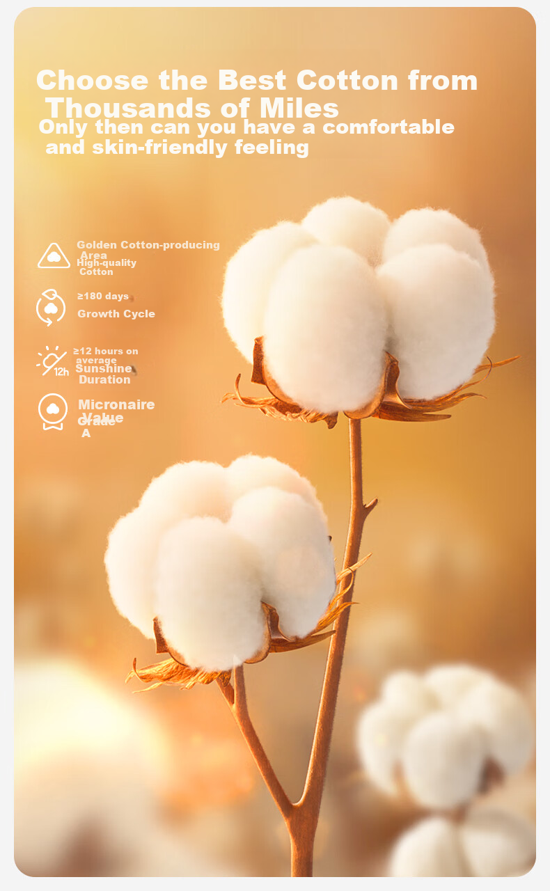 Детские носки PurCotton, для новорожденных, хлопок, до колена, 14-16 см, 3 пары, голубой + молочный + серый