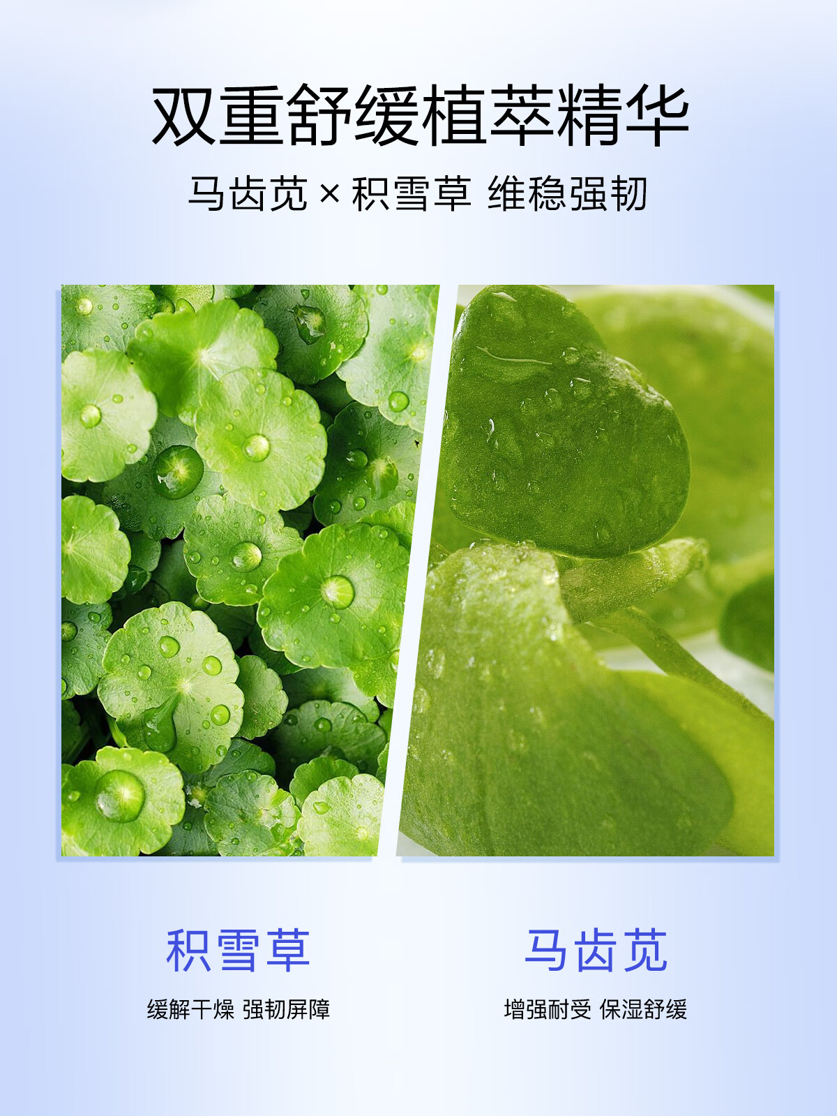 高姿 护肤品套装水感沁润3件套（洁面+水+乳）补水保湿