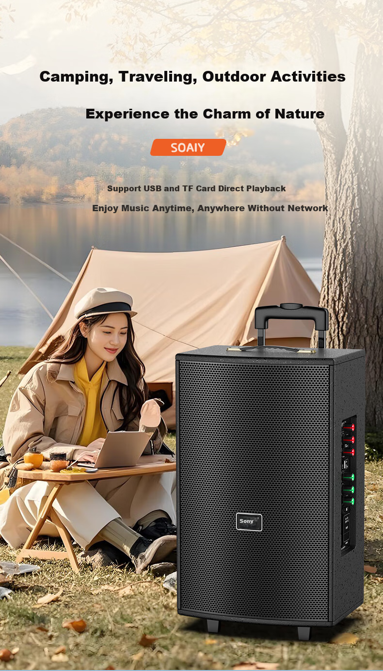 Портативная колонка Soaiy SA-X23L, 15 дюймов, деревянный корпус, Bluetooth, USB, AUX, 3-полосная, 9 динамиков, двойной микрофон