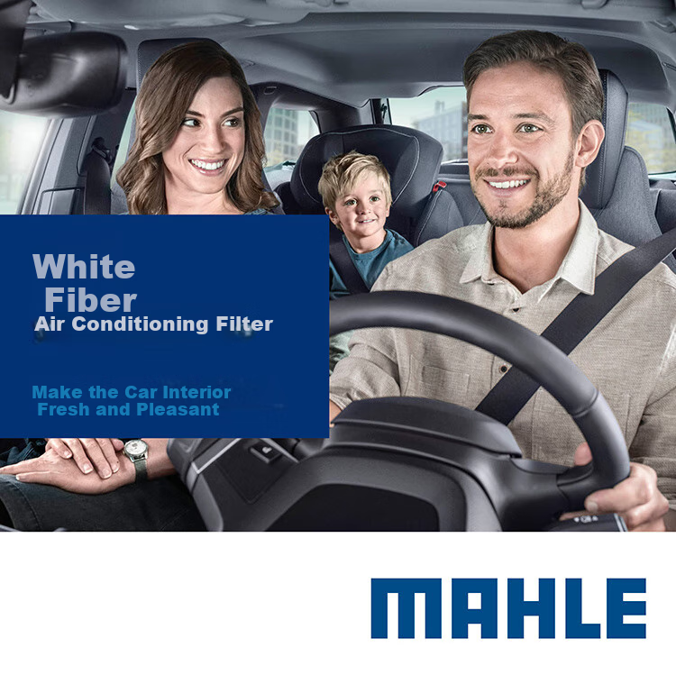 Салонный фильтр MAHLE