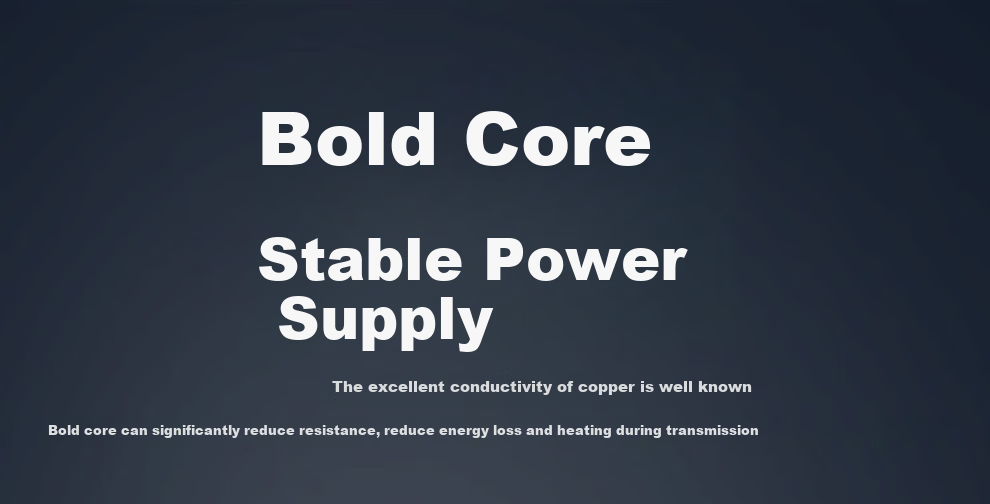 Кабель питания BURLEFRAN, 8-образный, угловой к прямому, 0.75 мм², черный, 5 метров