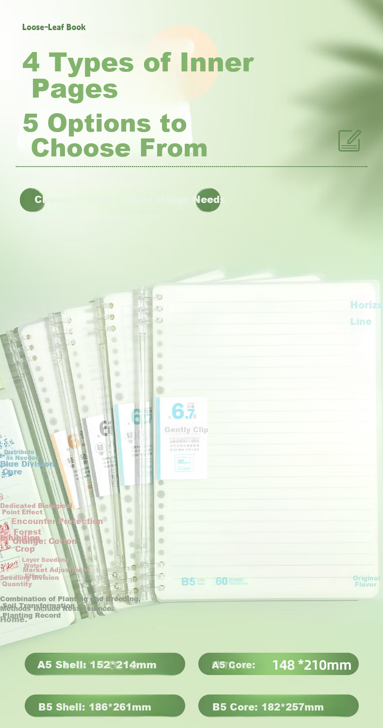 Блокнот M&G, B5, Loose-Leaf Binder, для записей, дневника, 60 листов