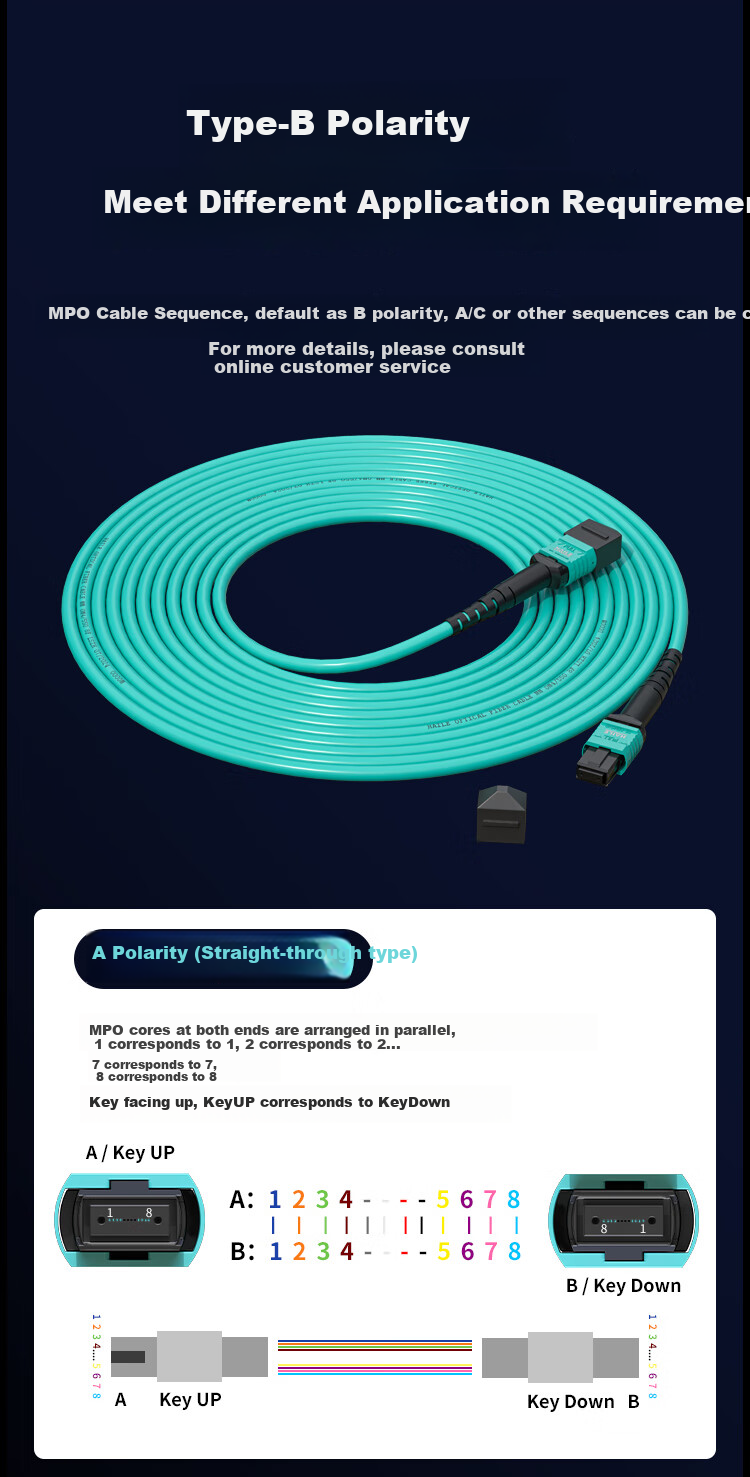 Волоконно-оптический патч-корд HAILE MPO-MPO Female 8-Core Multi-Mode 10G OM4, 40/100/200G Module MPO Fiber Optic Cable, 1 Meter GMPO-MTA8