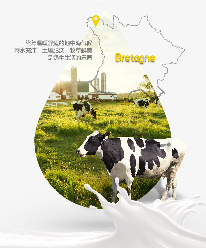 大液奶详情页1L_03.jpg