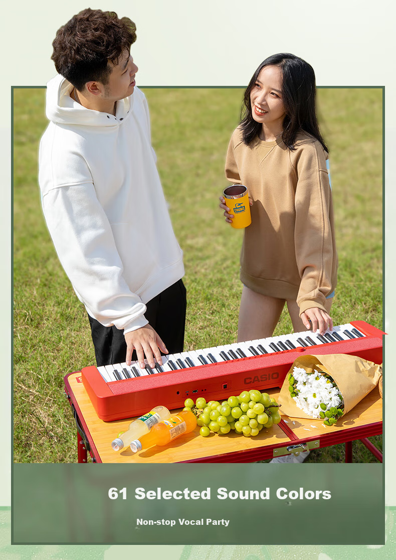 Электронное пианино CASIO