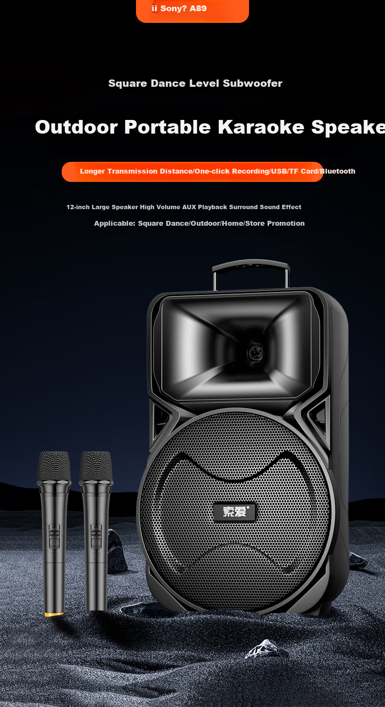 Портативная колонка Soaiy A89WM, 12 дюймов, с двумя микрофонами, Bluetooth, USB, AUX, для караоке и вечеринок, черный