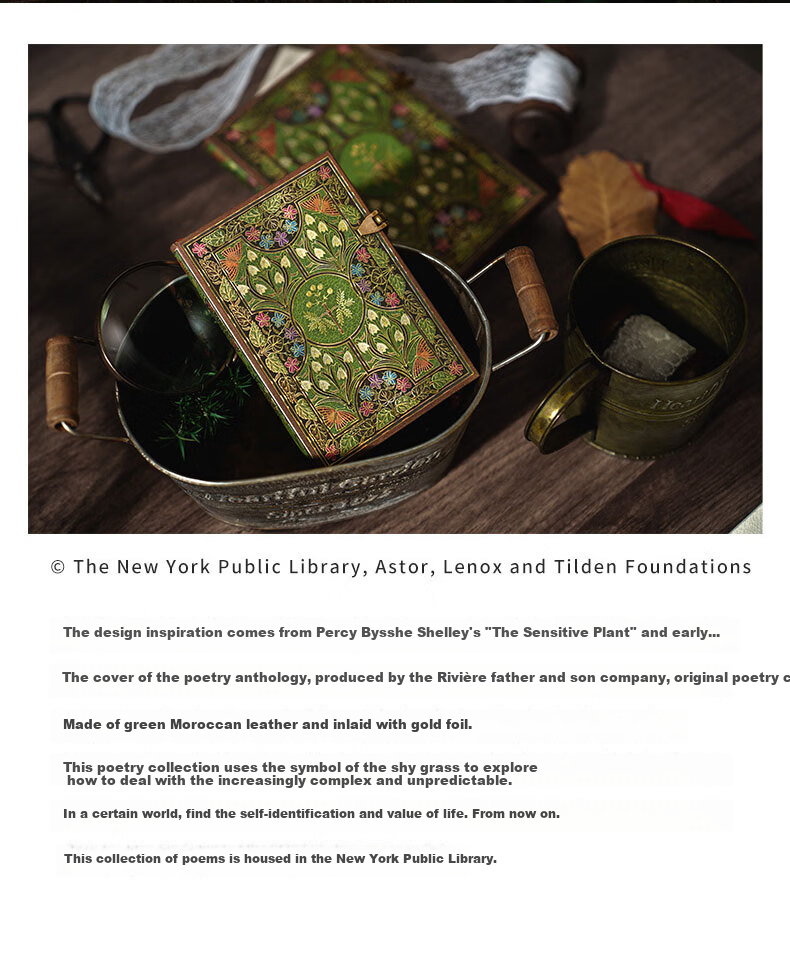 Импортный блокнот Paperblanks, винтажный дневник-журнал, подарок для женщин и студентов, праздничный юбилейный подарок, креативный сувенир, красочный поэтический блокнот среднего размера