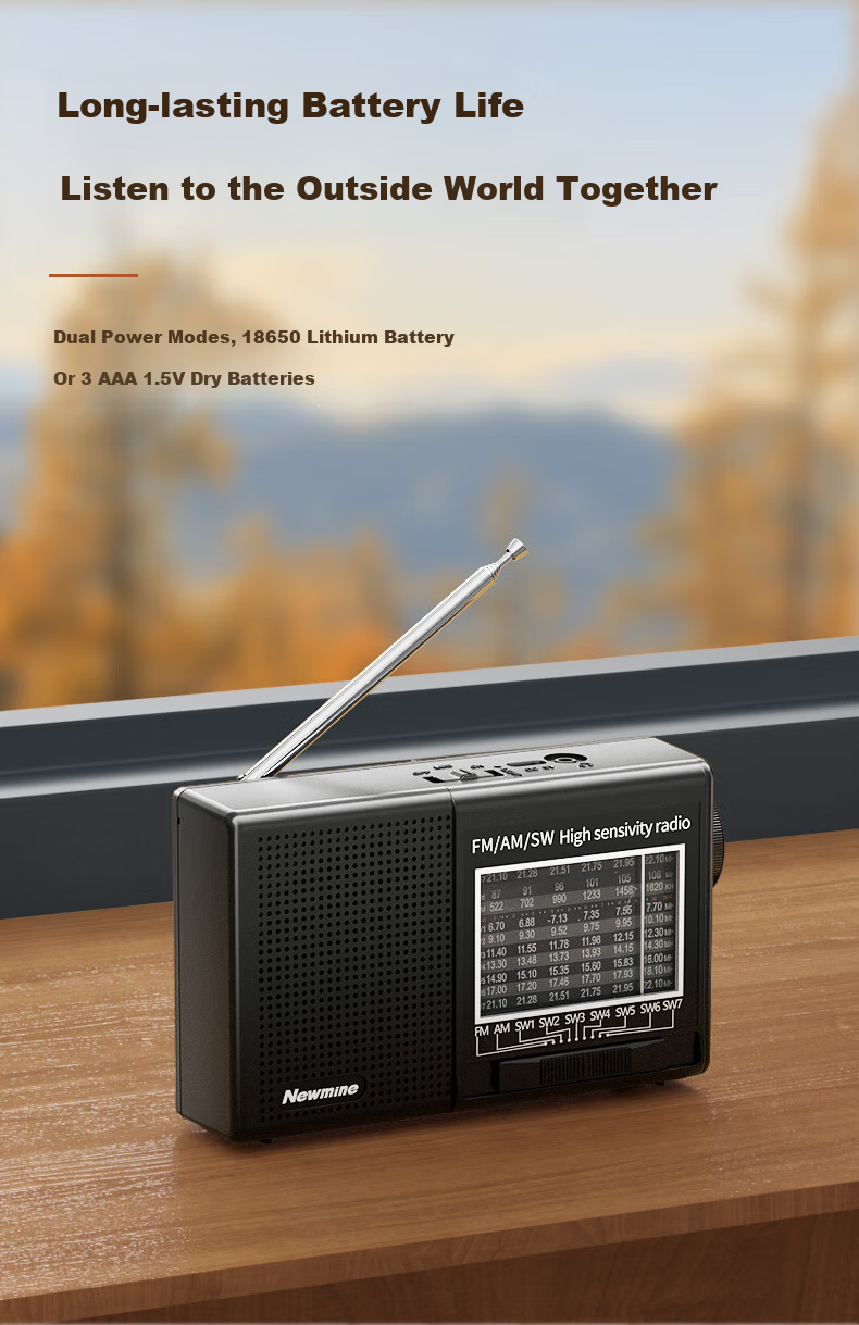 Портативное радио Newmine BT526, мини-динамик с LED-подсветкой, персональный аудио плеер, FM-тюнер, радиовещание, опера, полупроводниковое, перезаряжаемое