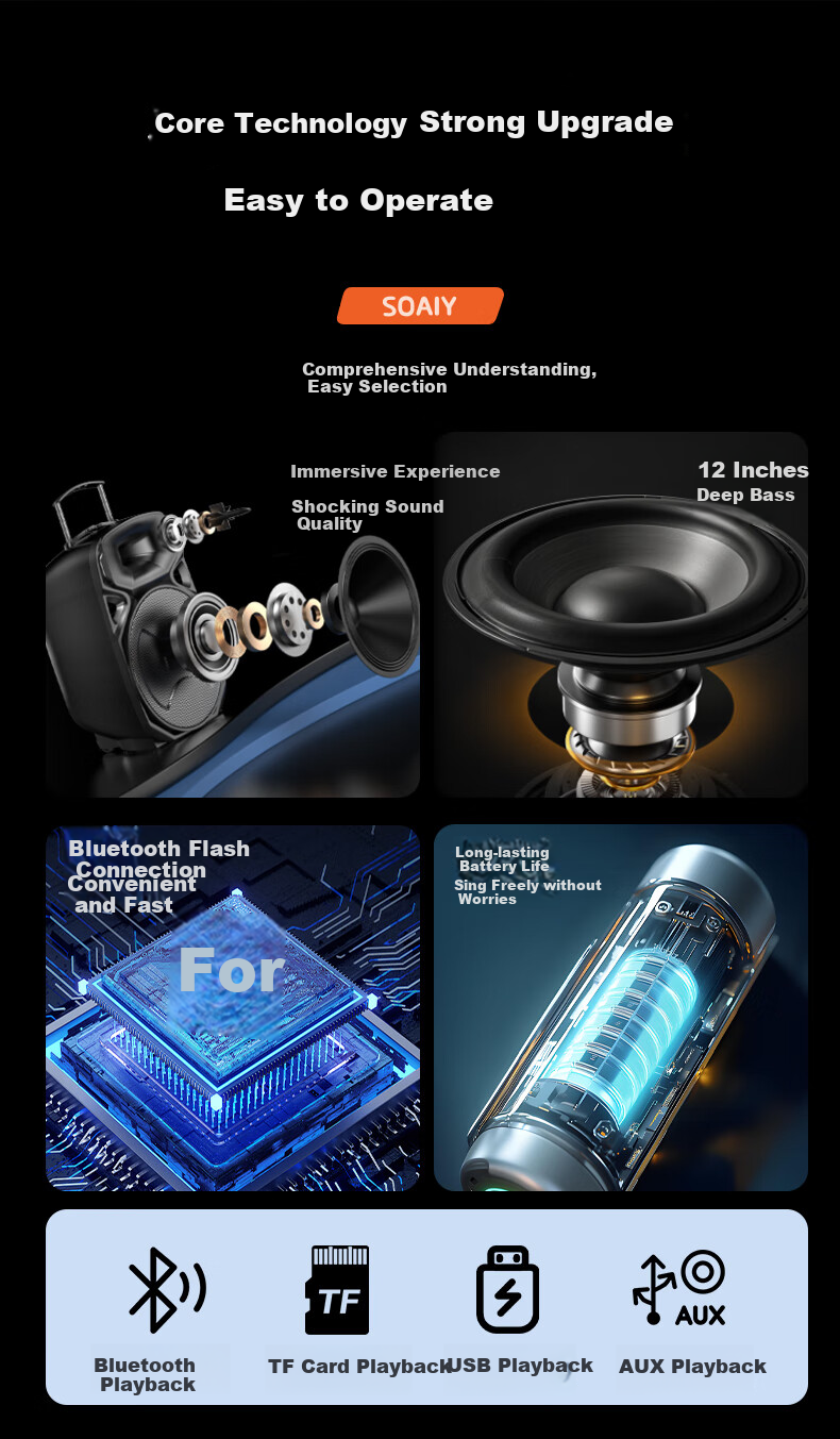 Портативная колонка Soaiy A89WM, 12 дюймов, с двумя микрофонами, Bluetooth, USB, AUX, для караоке и вечеринок, черный