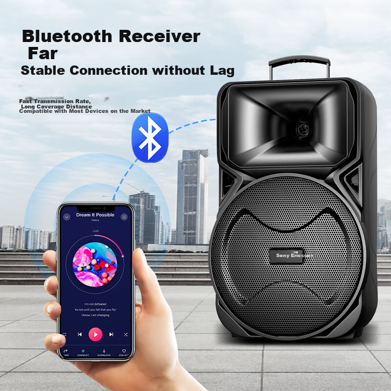 Портативная колонка Soaiy A89WM, 12 дюймов, с двумя микрофонами, Bluetooth, USB, AUX, для караоке и вечеринок, черный