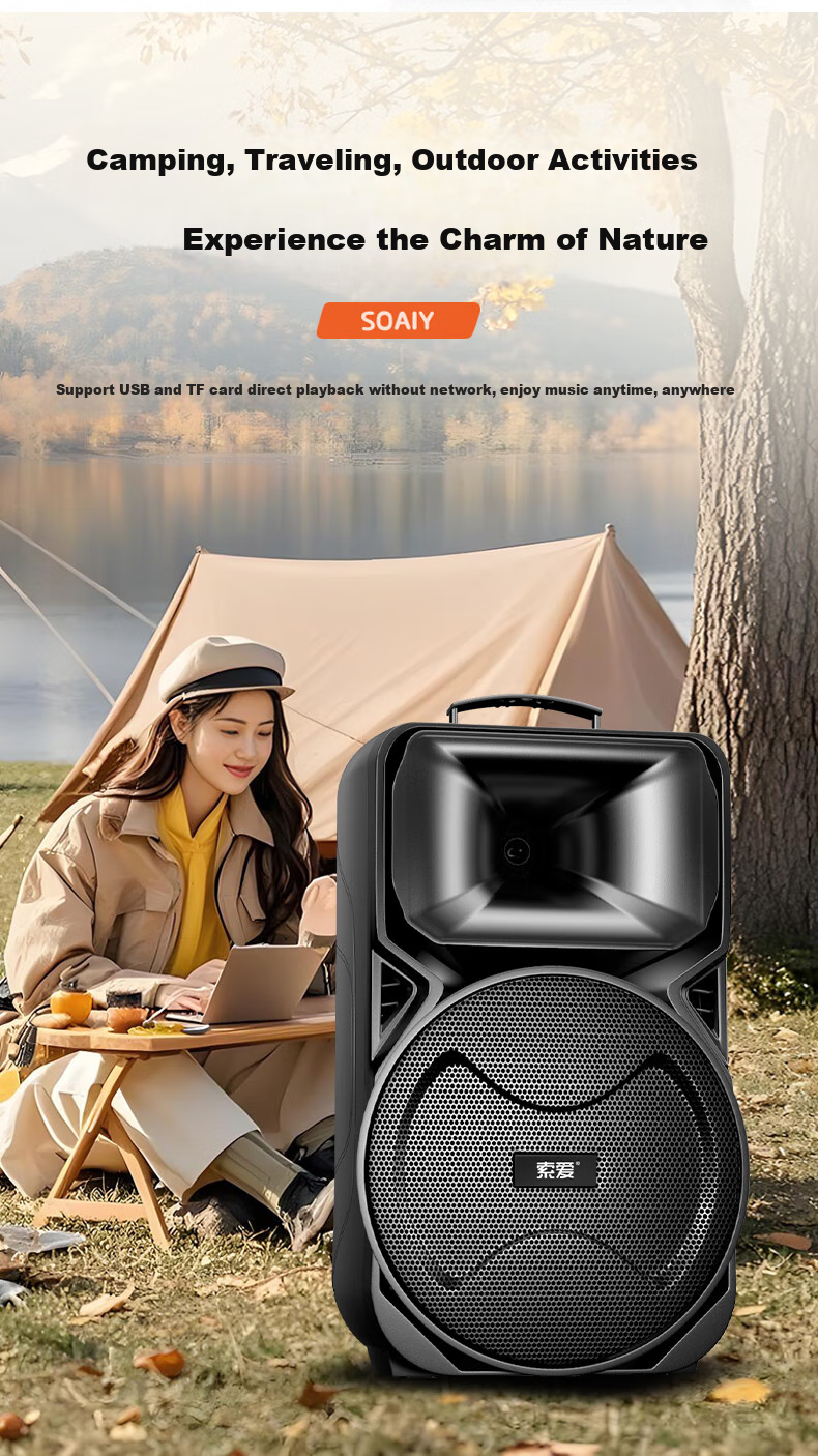 Портативная колонка Soaiy A89WM, 12 дюймов, с двумя микрофонами, Bluetooth, USB, AUX, для караоке и вечеринок, черный