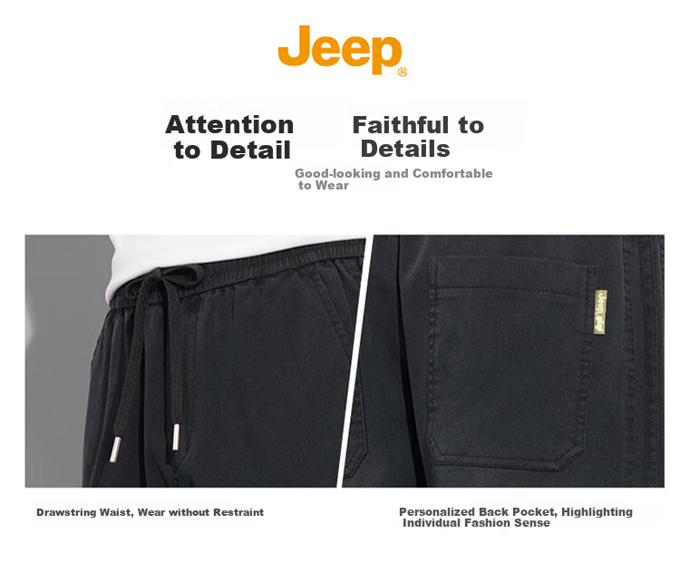 Повседневные брюки JEEP