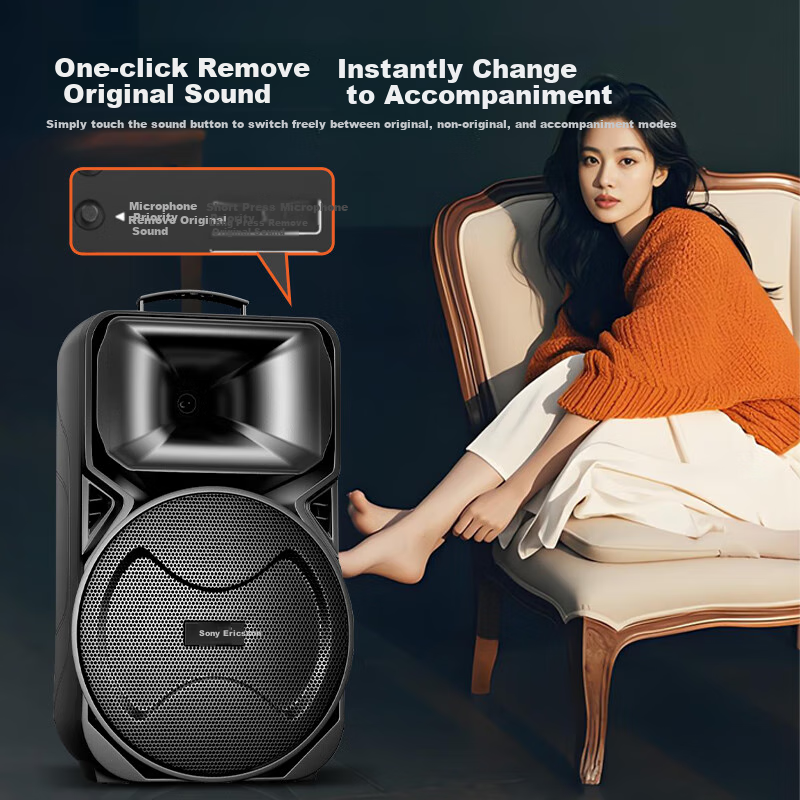 Портативная колонка Soaiy A89WM, 12 дюймов, с двумя микрофонами, Bluetooth, USB, AUX, для караоке и вечеринок, черный