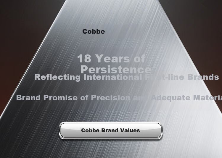 Настенная полка для хранения специй Cobbe, из нержавеющей стали, для кухни, с крючками, 40 см