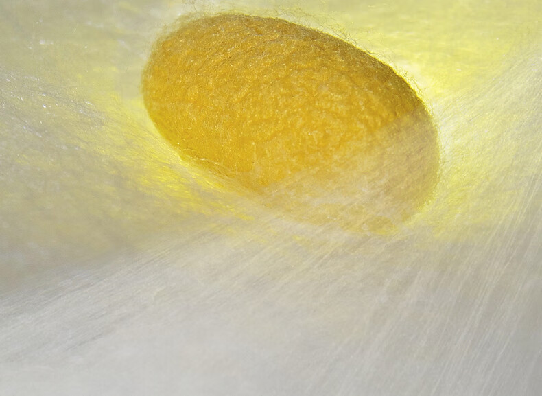 Шелковое одеяло Mercury Home Textiles Golden Cocoon, зимнее, двухслойное, 4 кг, 220x240 см